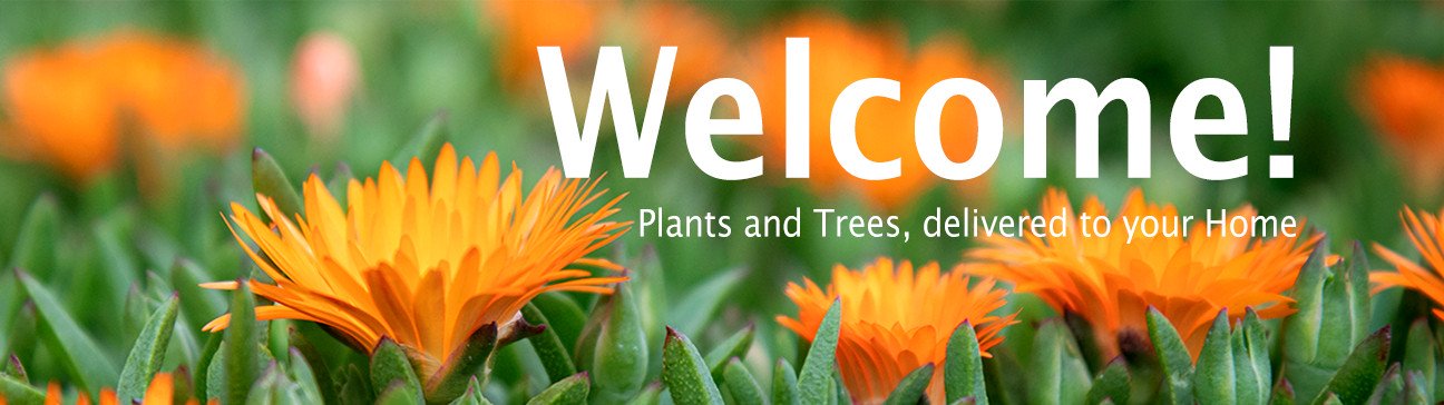 Plants and trees delivered to your home.